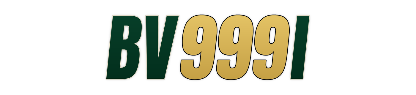 bv999i logo